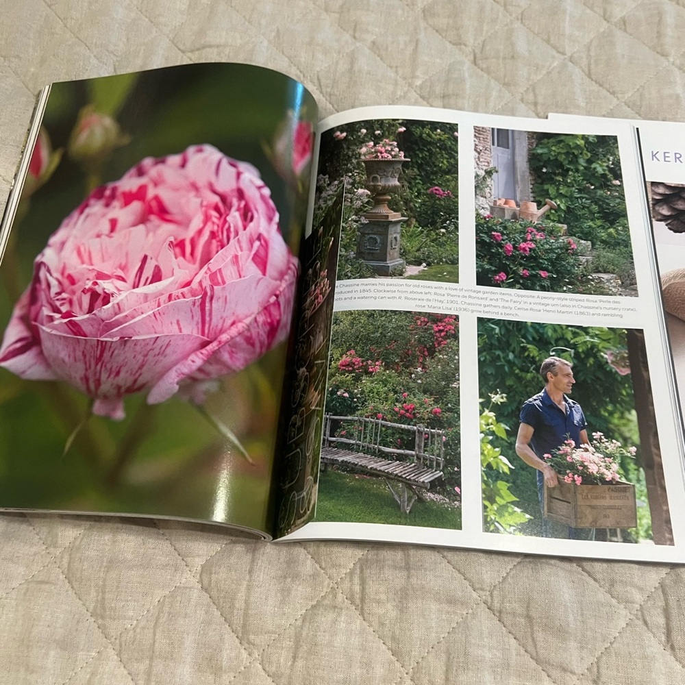 Milieu Magazines - Picture 4 of 6